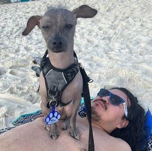 Meet your Posher, Misael